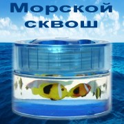 Маленький океан морской сквош